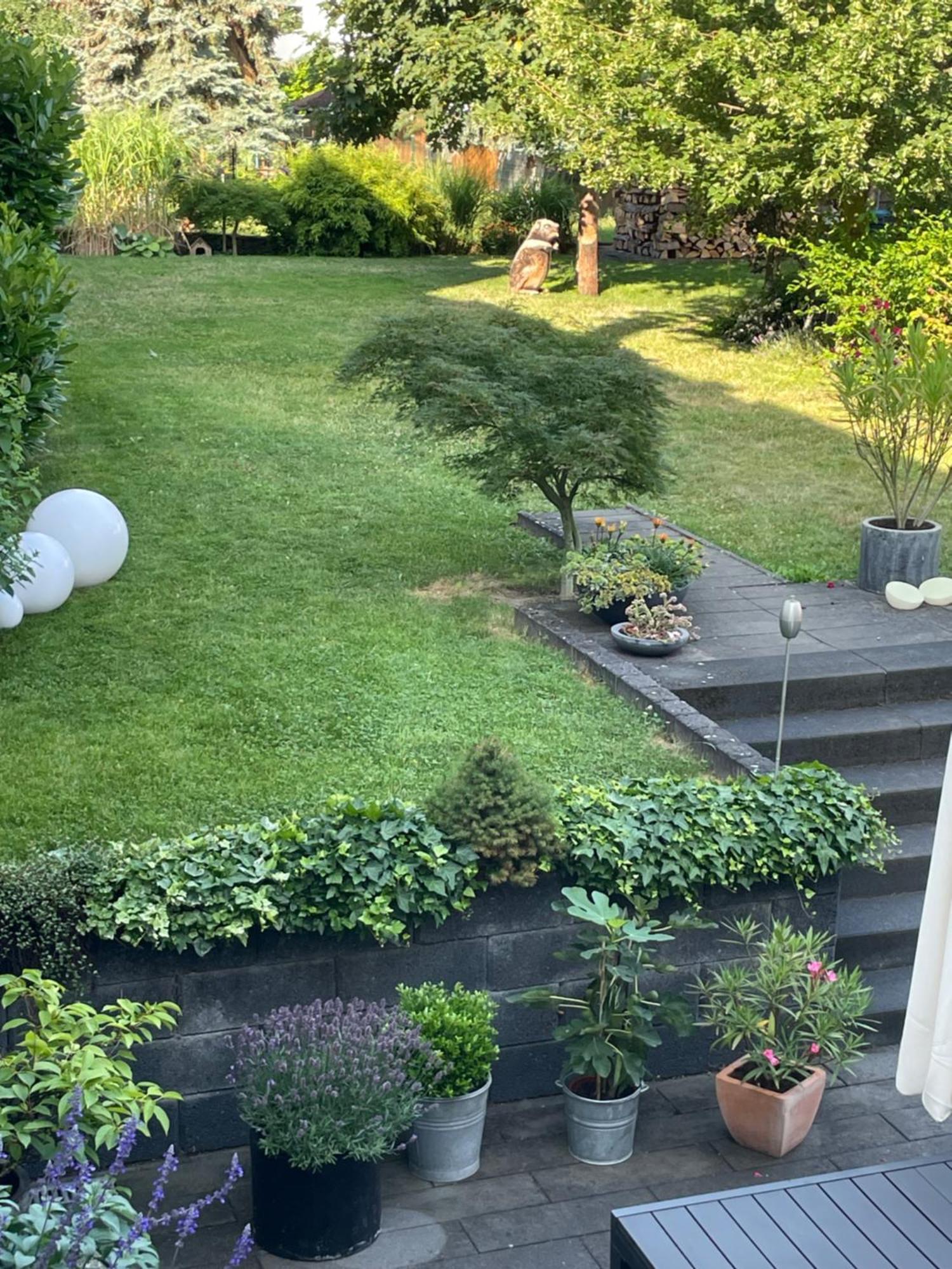 Ferienwohnung Dieblich an der Mosel Exterior foto